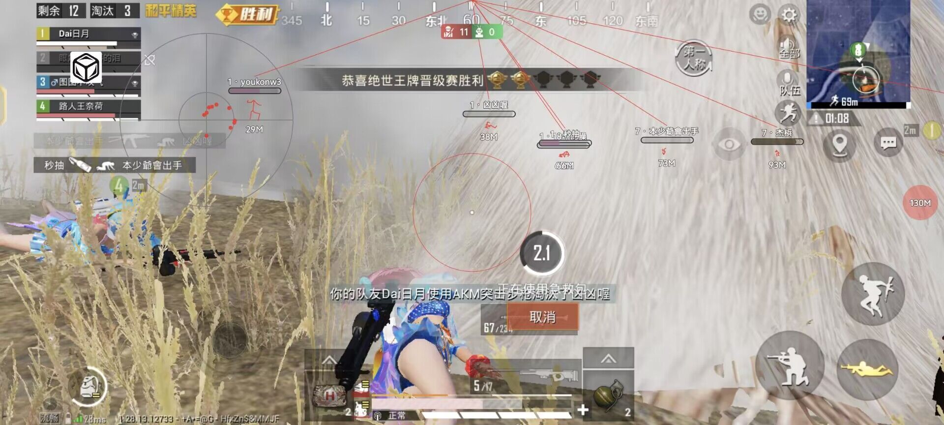 和平精英辅助【彩虹】